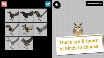 鸟类3D参考