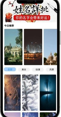 枫叶壁纸app下载手机版