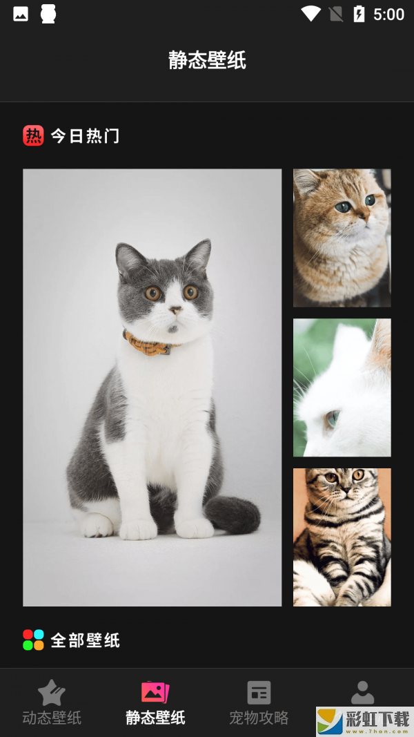 猫咪壁纸app下载最新版
