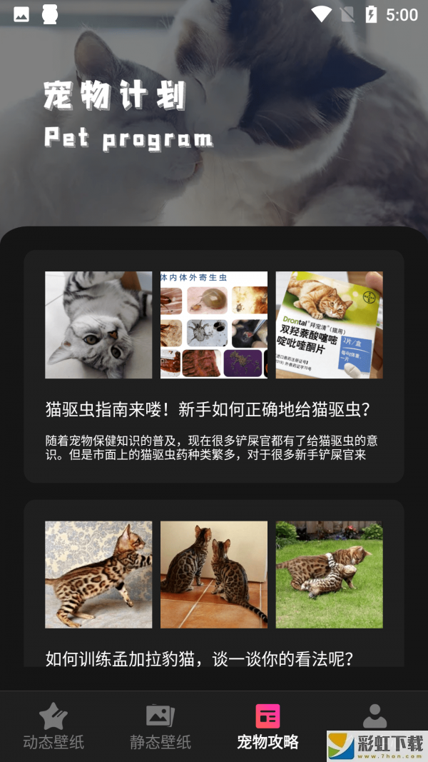 猫咪壁纸高清图片免费版v1.1下载