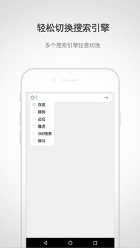 闪电浏览器汉字版app下载