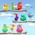 Color Birds Sorting Puzzle单机版下载