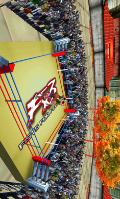 3D拳击对战游戏免费安卓版图片1