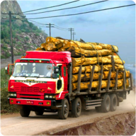 Heavy Cargo Truck