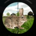 兔子狩猎模拟器客户端