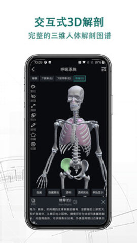 掌上3D解剖app手机版