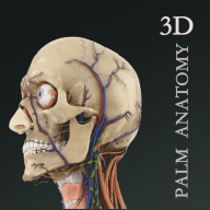 掌上3D解剖app手机版