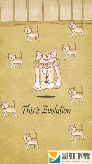 小猫进化大派对正版