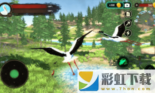 仙鹤模拟器(The White Stork)