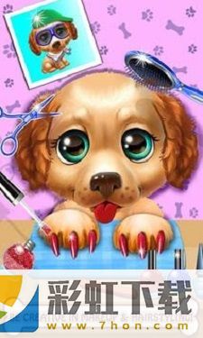 宠物护理与动物美容(Pet Care & Animal Makeo