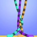 缠结扭曲绳索大师3D(Tangle Twisted: Rope Master 3D)